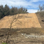 Messa in sicurezza del Sambro: completato un intervento strategico per la tutela del territorio.