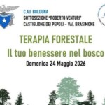 Castiglione dei Pepoli. Il Cai ci accompagna ad una nuova “TERAPIA FORESTALE” il 24 maggio. Il tuo benessere nel bosco.