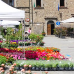 Castiglione dei Pepoli celebra la primavera: fiori, sapori e tradizione nel cuore del borgo il 3 maggio.