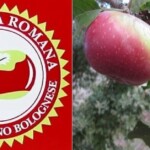 I prodotti del Biodistretto dell’Appennino bolognese nelle scuole di Marzabotto